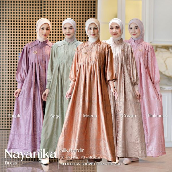 Nayanika Dress